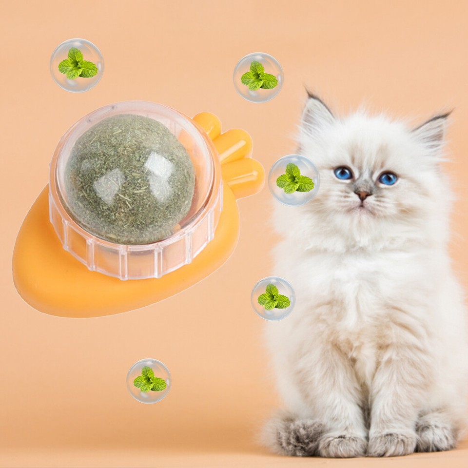 Giocattoli Per Gatti Con Erba Gatta - 4 Pezzi Peluche Animali Per Intrattenimento - Foto 5