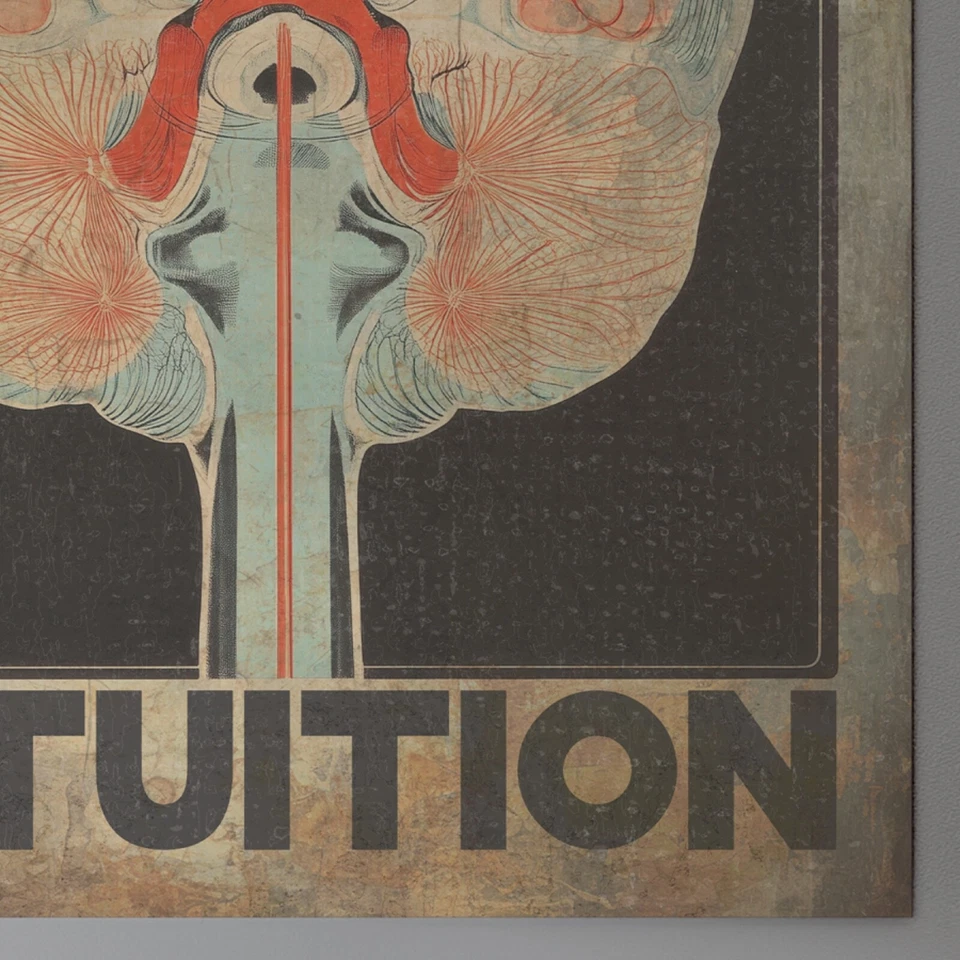 Ретро ИНТУИЦИЯ Плакат с Анатомией Мозга, Наука Биология Нейронаука Настенное Искусство - Изображение 3 из 4