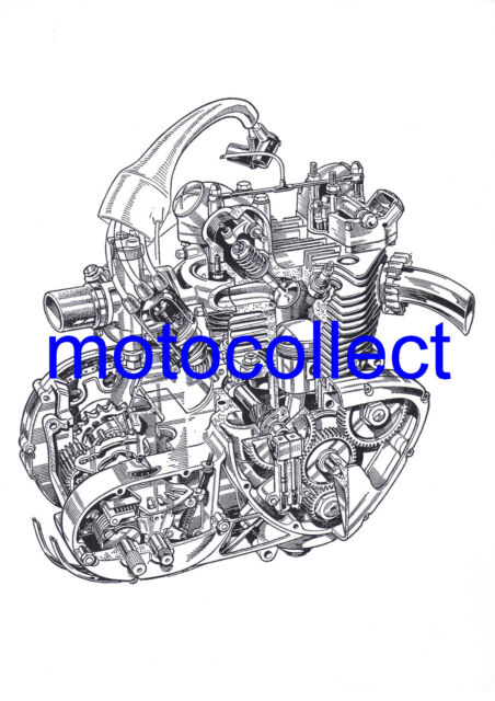 TRIUMPH 350 3TA / 5TA Engine - Exploded View A3 print - Free Postage to UK VO8838