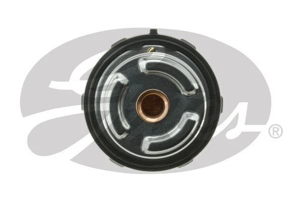 Puertas termostáticas TH55087G1 para CADILLAC CTS HOLDEN Commodore Statesman HSV GTS Foto 3 de 4