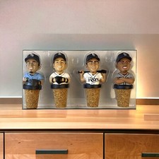 Rays Tampa Bay Winestoppers Base 2008 ALCS Championship Team Commemorative Set