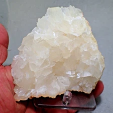 Calcite on Fossil Coral, Riverton, Wyoming