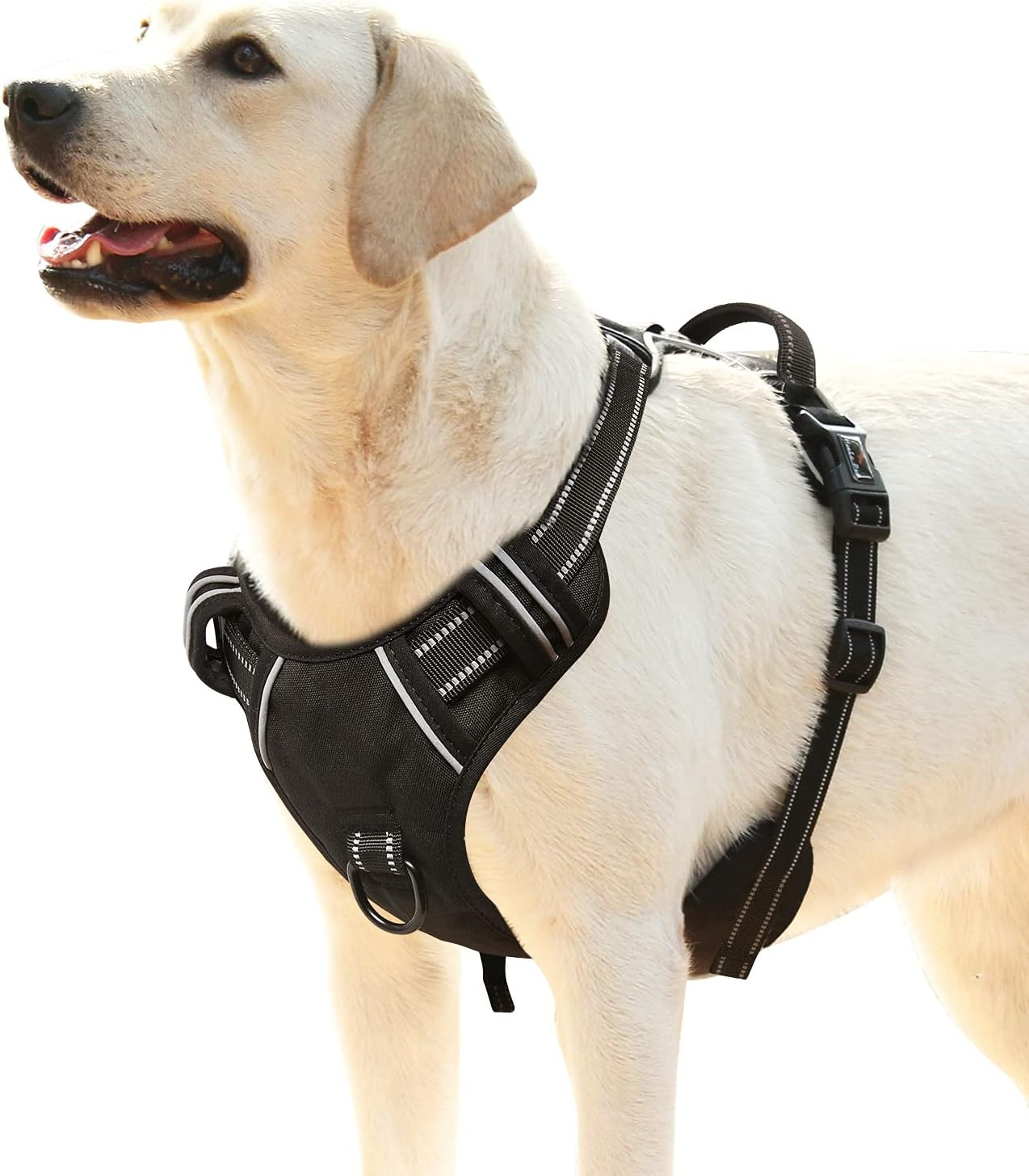Imbracatura Cane Professionale No-Pull: Controllo Dinamico e Comfort