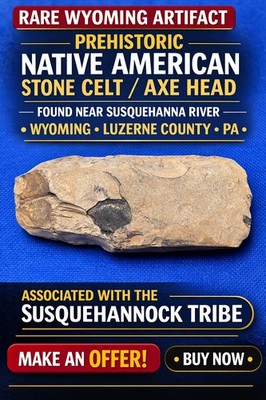 Prehistoric Native American Stone Celt Axe Susquehannock Luzerne Co PA