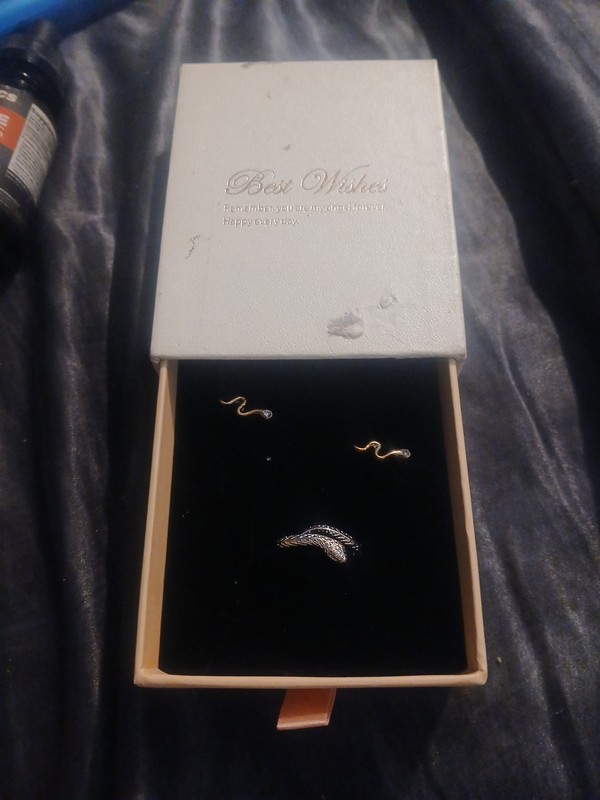 Best Wishes Snake Ring And Ear Ring