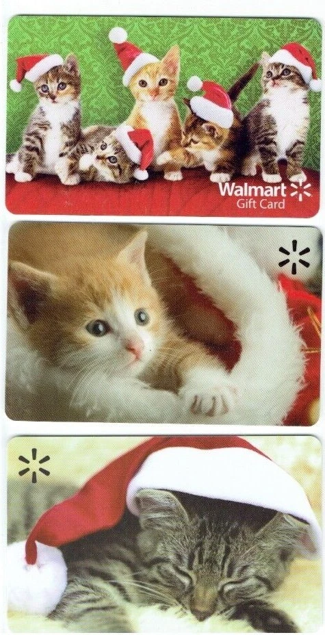 Walmart kittens cheap