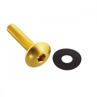 Linsenschraube Bolt M6x1.00mm 30mm Alu gold, 7750374
