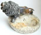 Bild 5 von 10
