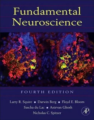 Fundamental Neuroscience | Larry Squire (u. a.) | Englisch | Buch | 2012