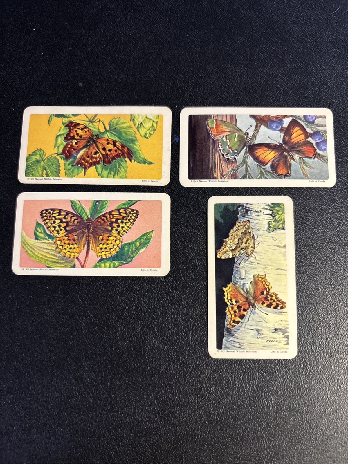 4 cards-1965 Brooke Bond (Red Rose Tea) Butterflies of N. America--Series 8.