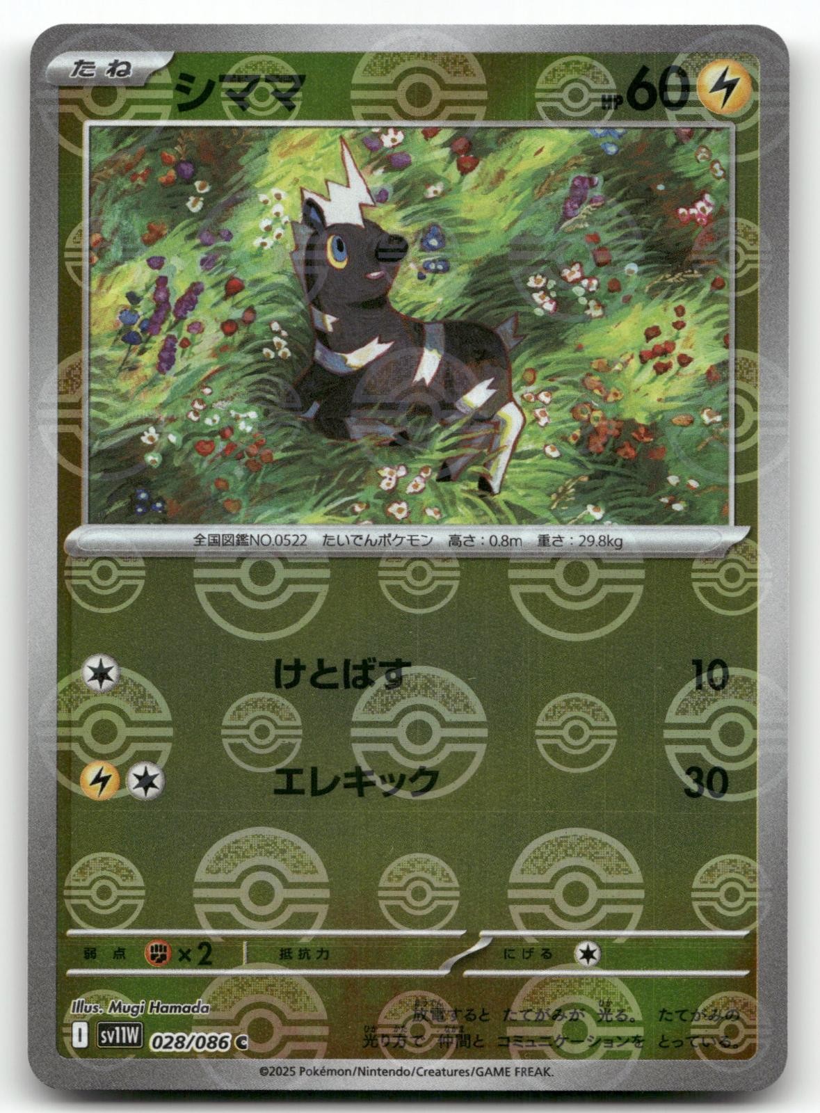 BLITZLE 028/086 (POKE BALL PATTERN) SV11W: WHITE FLARE POKEMON JAPANESE NM/M