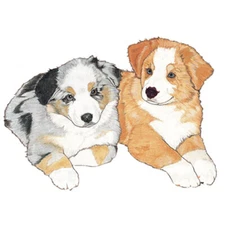 Australian Shepherd Aussie Magnet Wooden