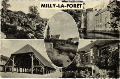 AK Souvenir du Milly Frankreich (1371042)