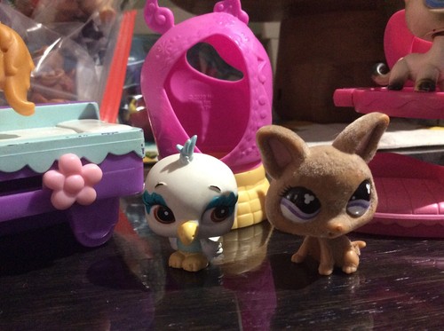 LPS Littlest Pet Shop Authentic 7 pc dog cat bird + beds Vintage Collection VETS - Picture 3 of 7
