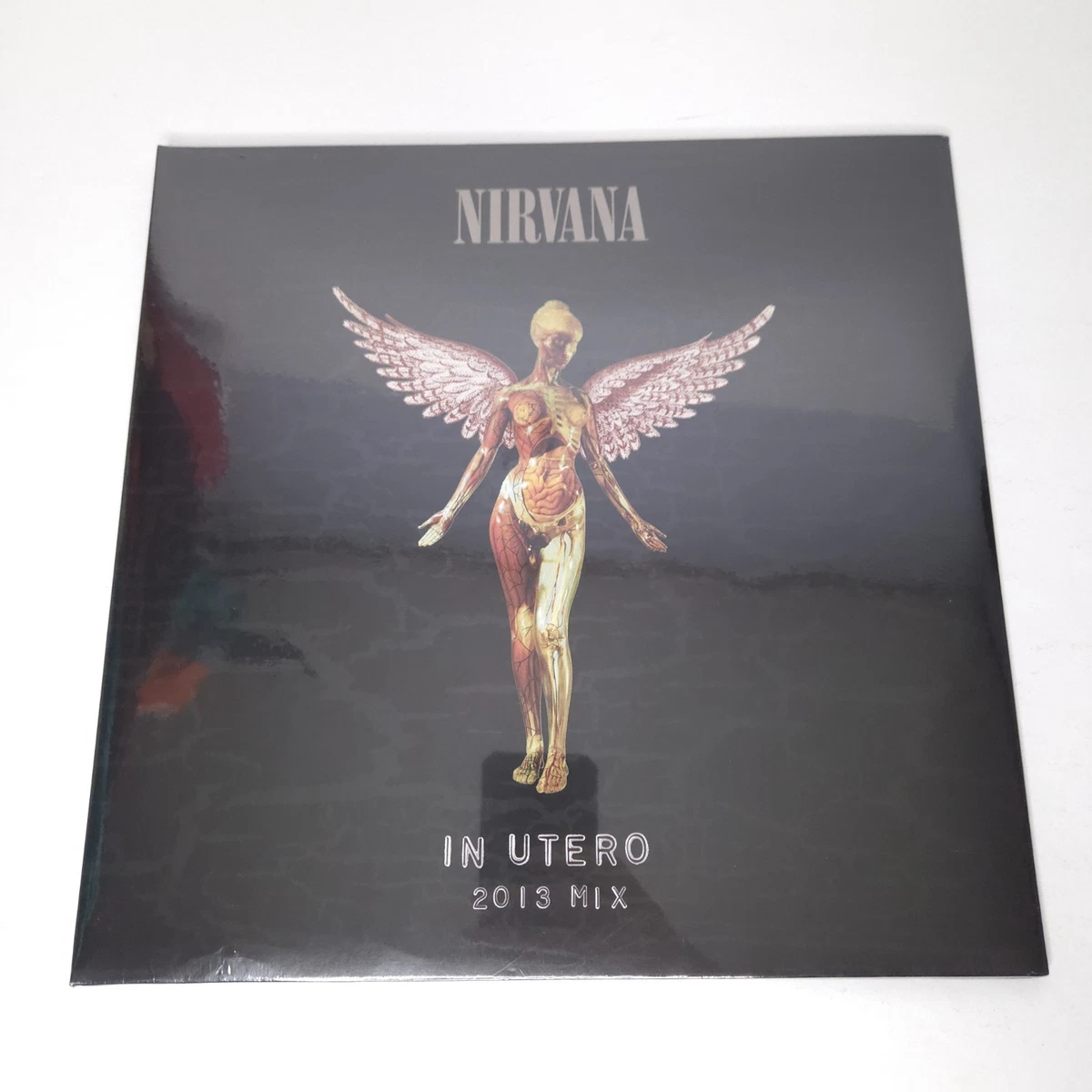 Nirvana Indiana Utero Indiana Vinyl Records for sale - eBay