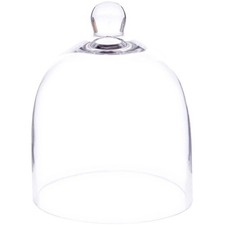 Plymor 6" x 7" Bell Jar Glass Display Dome Cloche, Interior size 5.75" x 5.75"