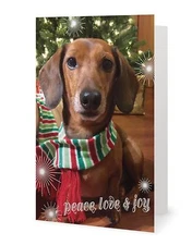 Classy Dachshund Dog - Animal Rescue -Scrappy Dizzle Designz- 1 Holiday Card