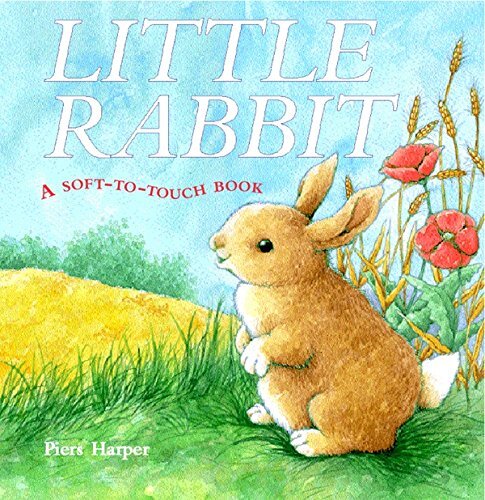 Little Rabbit: A Soft-to-Touch Book. 9781405047845 | eBay