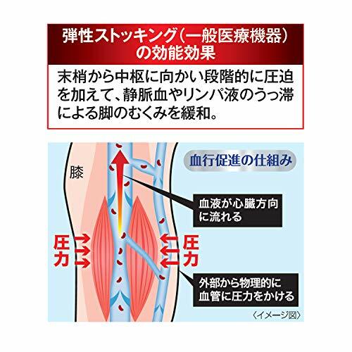 Dr. Scholl Medi Qtto Japan Day Wear Slimming Foot Care Spats Tights M Size - Picture 5 of 8