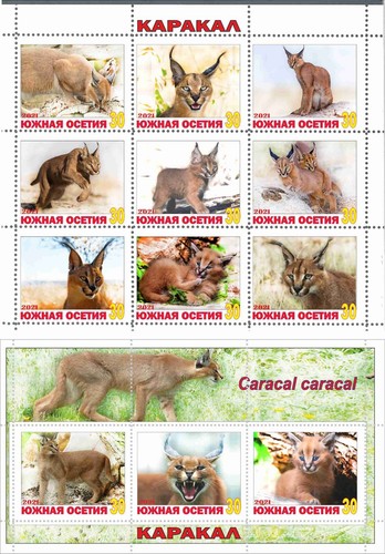 Stamp sheet+block Caracal Soith Ossetia issue 2021 Wild Cats