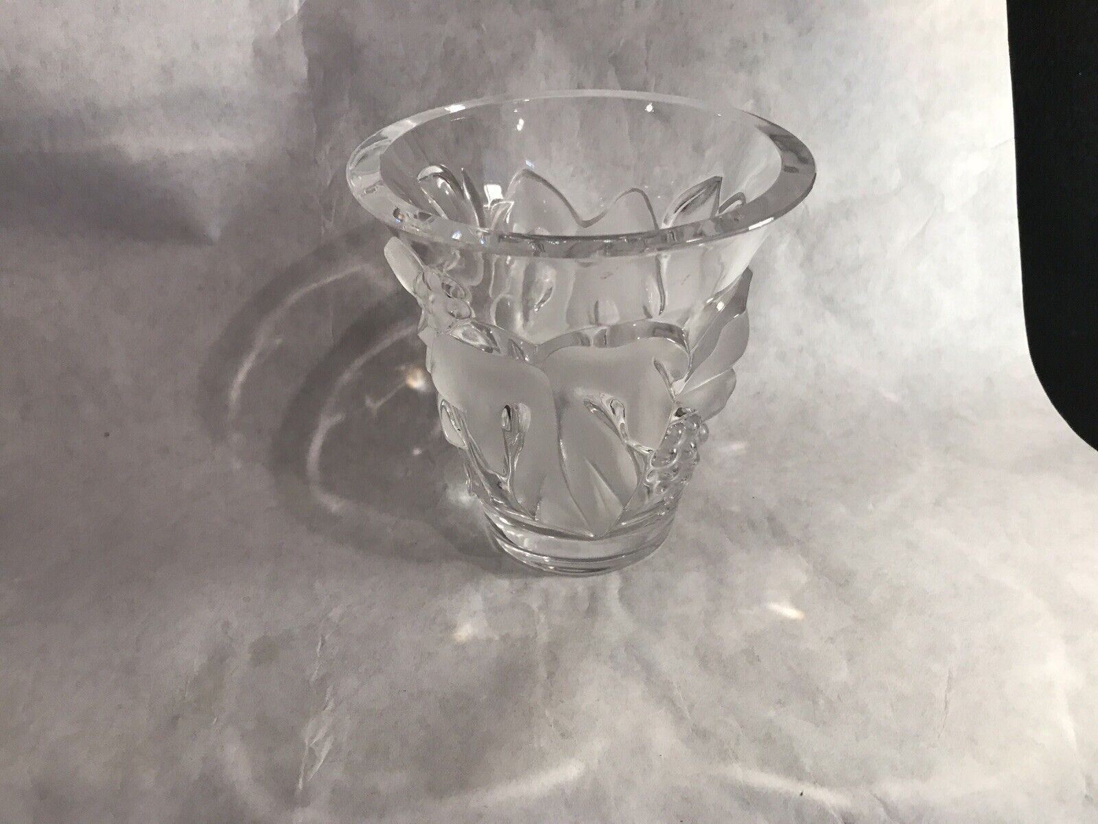 Picture 11 of 11