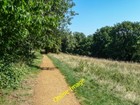 Photo 12x8 Alexandra Park, Londres N22 vert bois \/TQ3090 Pathway through A c2013