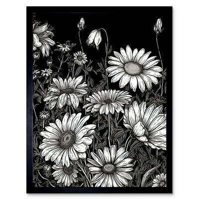 Daisy Flower Field Black and White Illustration Framed Art Picture Print 9X7 In