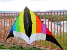 Delta Kite Huge 108" x  55" + RipStop Nylon Material + Carbon Wrap Spars + Bag