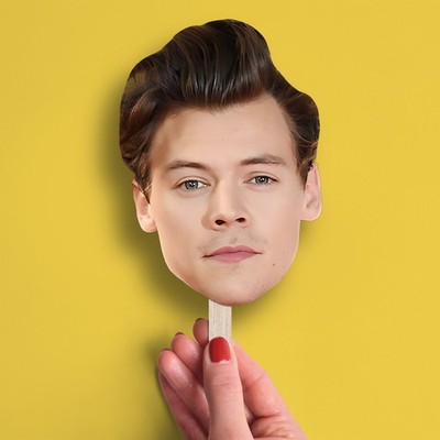 Harry Styles Big Head Cutout, Funny Party Prop, Concert Fan Gift