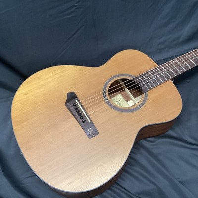 Gopherwood Guitars I2210RSX (no250728)