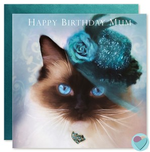 Mum Carte D Anniversaire Femmes Joyeux Anniversaire Maman Par Juniperlove Jlg0012hbm Ebay