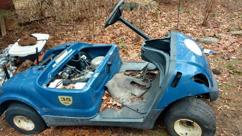 Yamaha YDRAX 2 Drive Gas Golf Cart Rear Back Body Blue