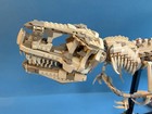LEGO Jurassic World Dinosaur Fossils Tyrannosaurus Rex #76968 -READ Description! — photo 3