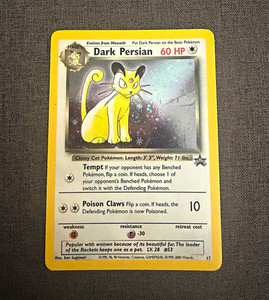 Dark Persian Promo | eBay