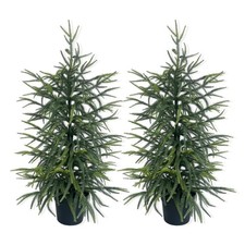 3FT Norfolk Pine Faux Tree Needle Potted Plant Indoor Home Decor 2 Packs