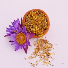 Blue Lotus Flower Stamens Organic Nymphaea Ca...