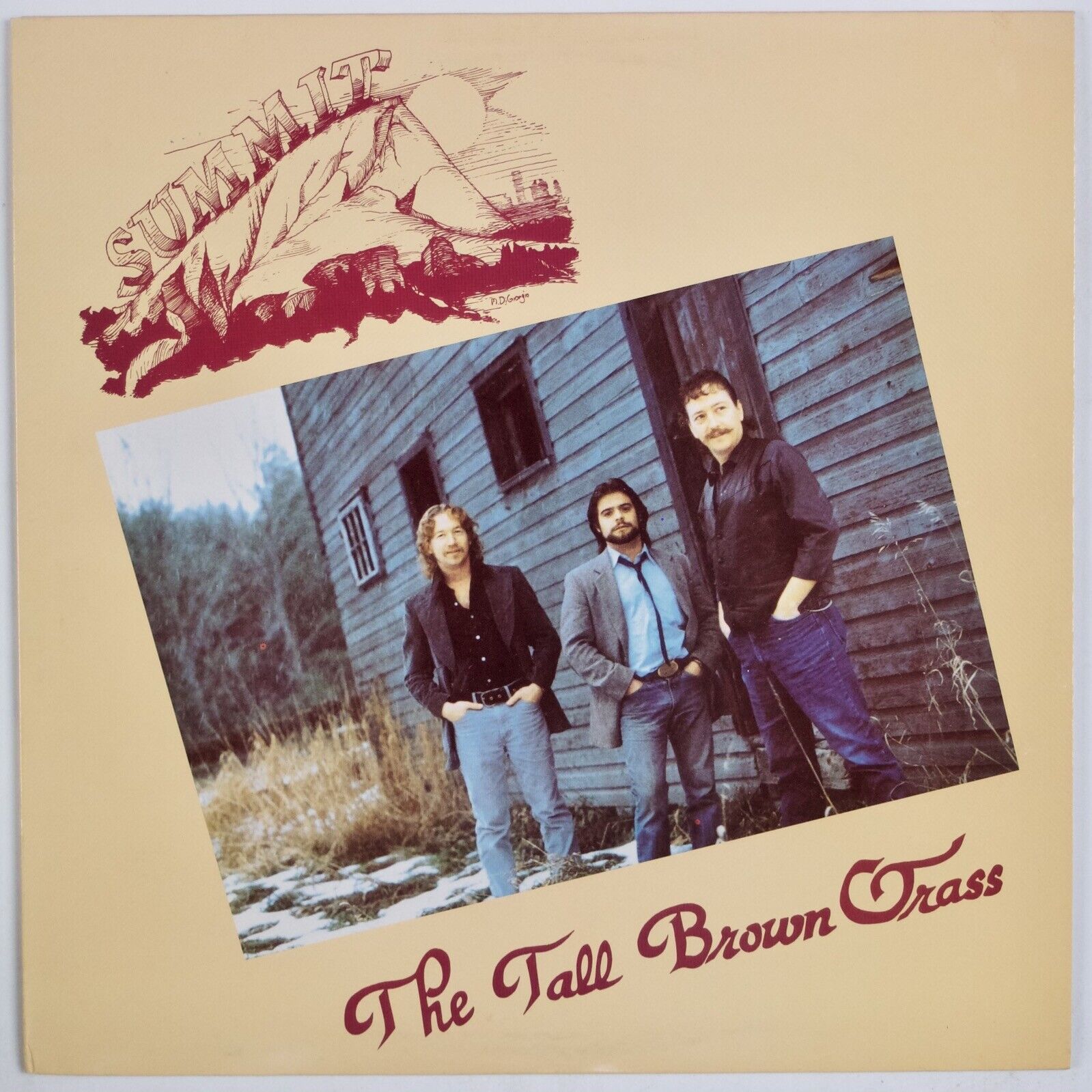 SUMMIT: Tall Brown Grass US Turquoise Records Bluegrass Vinyl LP