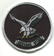 FBI AUTHENTIC SERVARE VITAS "Save Life" HOSTAGE RESCUE TEAM HRT velkr&ouml; INSIGNIA