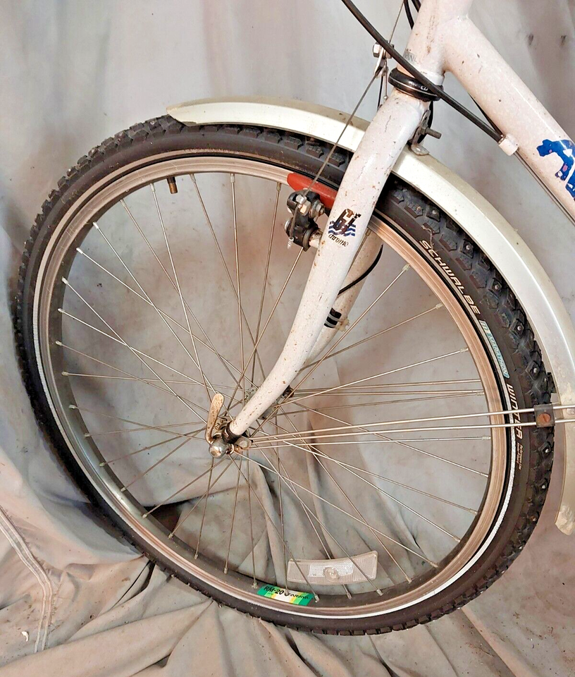VTT GT Avalanche 1988 - XX-Large, Cadre Chromoly, 21 Vitesses - Occasion (restauration)
