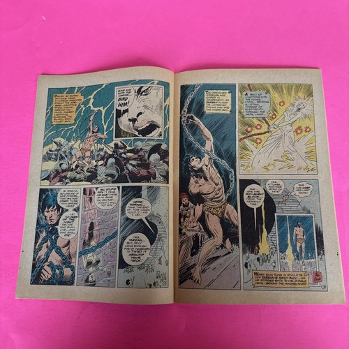 DC Comics - TARZAN - No. 229 - 1974 - Picture 7 of 7