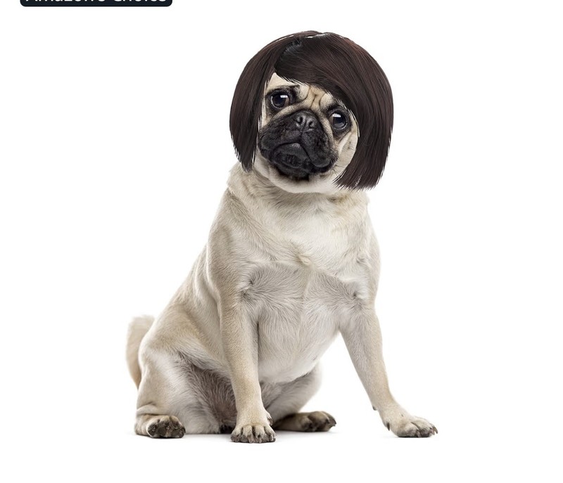 Cobee Funny Dog Cat Cosplay Wig, Pet Wig-Adjustable Costume Pet Funny Headwear C