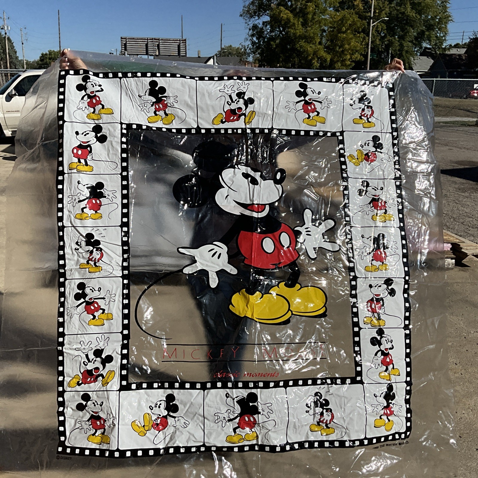 Mickey Mouse Bathroom Accessories 