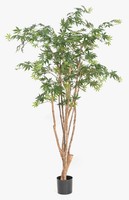 Artplants Japanischer Kunst Ahornbaum Ilianu, EchtstäMme, GrüN, 180Cm