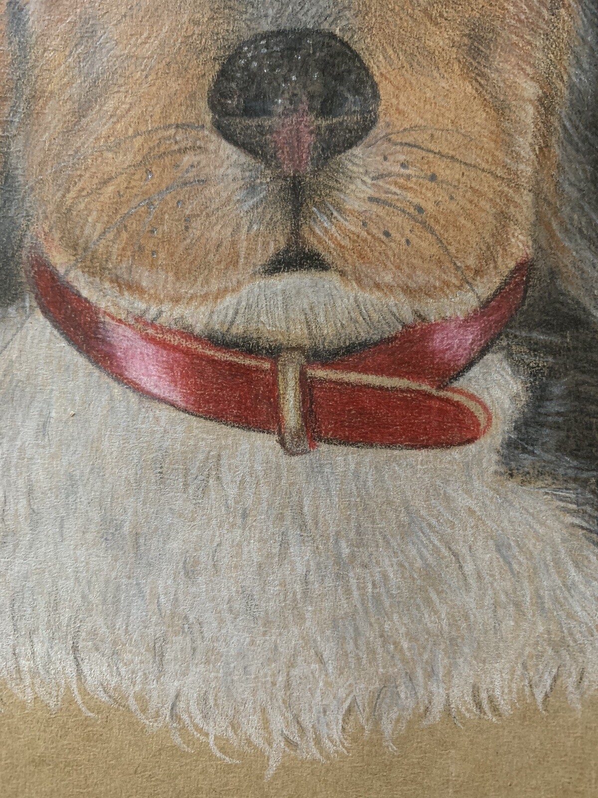 Picture 6 of 7