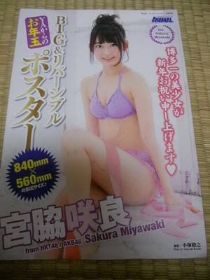 AKB48/HKT48 Sakura Miyawaki BIG&Reversible POSTER JAPAN LIMITED