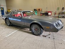 1981 Pontiac Firebird for Sale