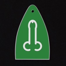 GUITAR TRUSS ROD COVER Engraved Etch - Fit Paul Reed Smith PRS USA - DONG GREEN