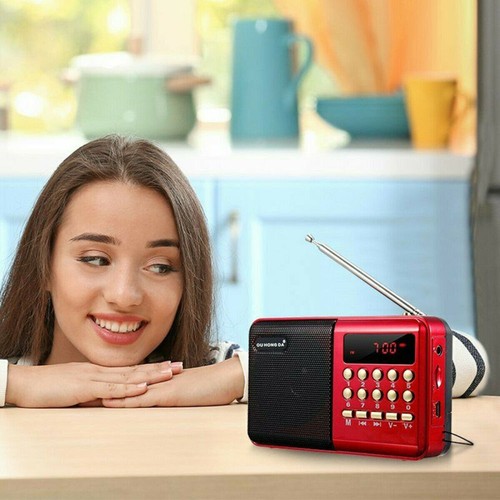 Digital Radio Tragbares FM Radio MP3 Lautsprecher Player mit Batterie USB Kabel - Bild 2 von 17