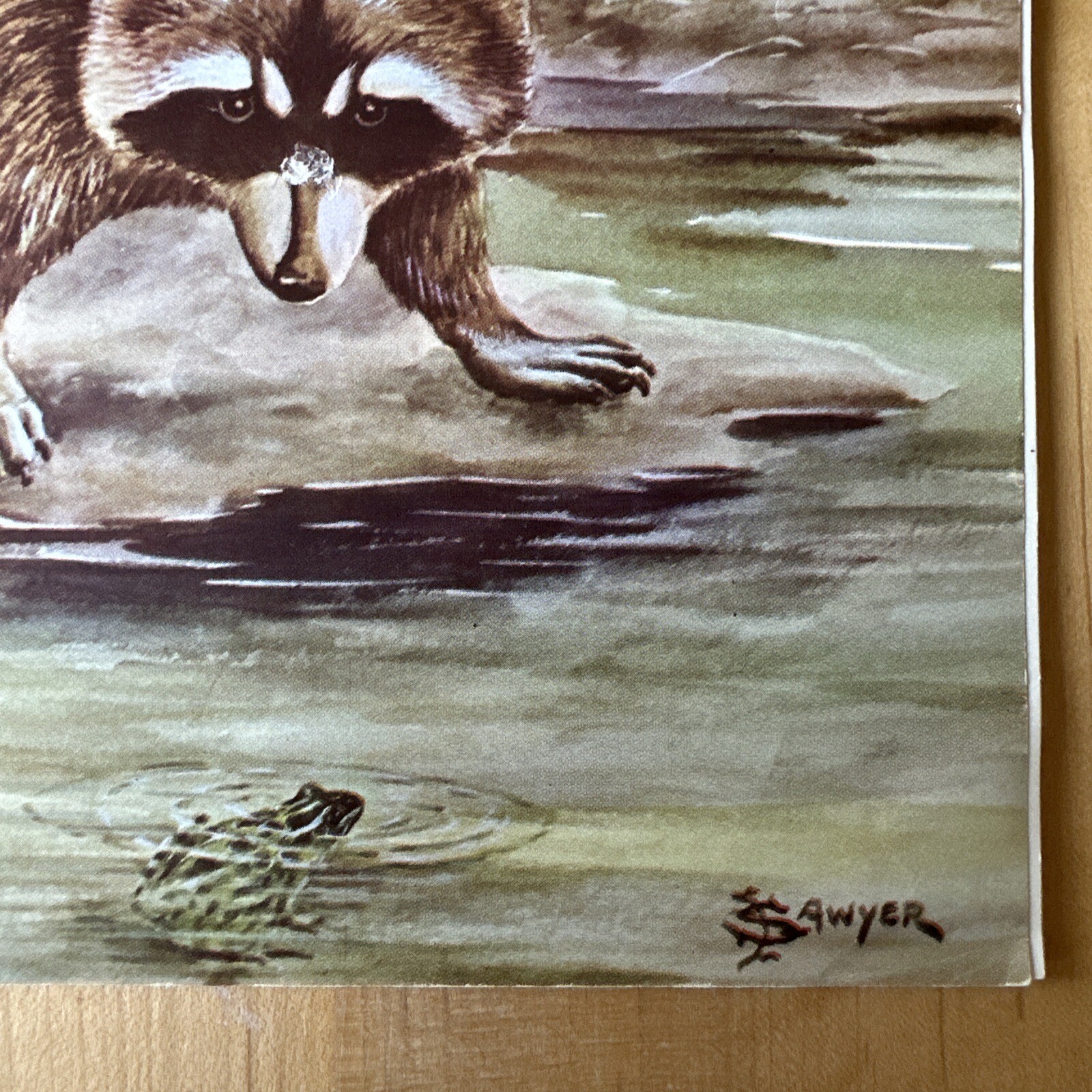 Picture 18 of 21