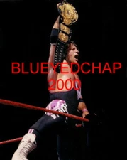 BRET HART WRESTLER 8 X 10 WRESTLING PHOTO WWF WCW